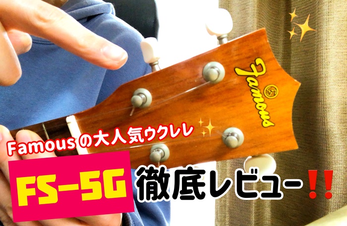 FamousのFS-5Gの評判は？←愛用歴４年目の本音書いてます