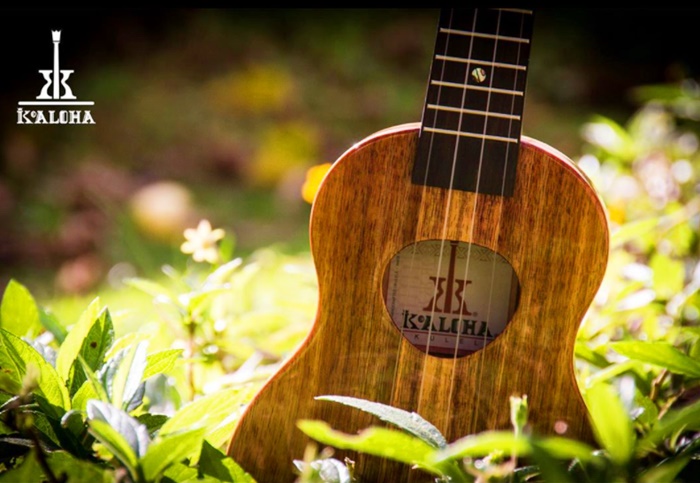 ロゴ画像付き 有名ウクレレブランド メーカー 一覧