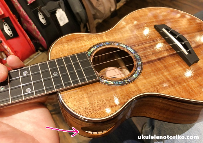 2本目ウクレレ探しの旅④TRUTH・LoPrinziウクレレにドキドキの巻！ 